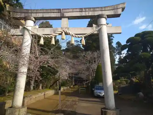 松山神社の鳥居