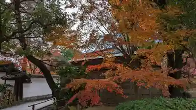 平等院(京都府)