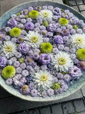 行田八幡神社(埼玉県)