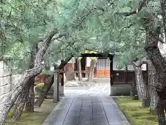 導故寺(京都府)