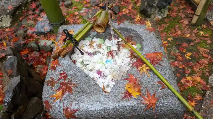 安楽寺(京都府)