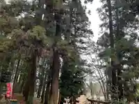 大宮温泉神社(栃木県)