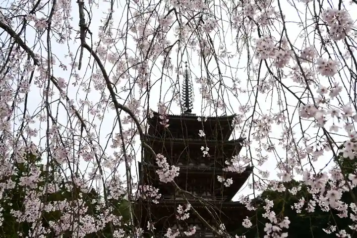 醍醐寺(京都府)