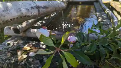 大原寺勝林院(京都府)