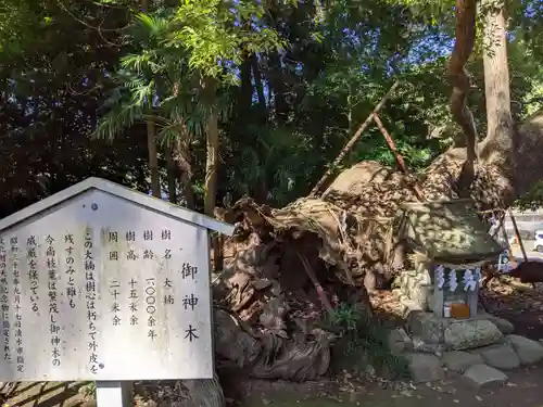 草薙神社の歴史