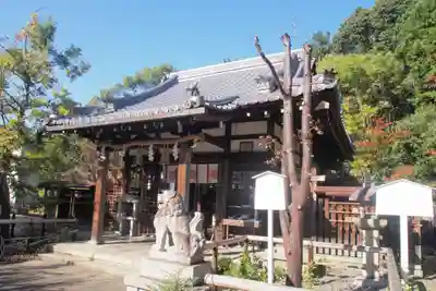 新熊野神社の本殿・本堂