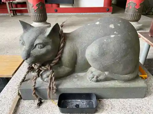 お松大権現(徳島県)