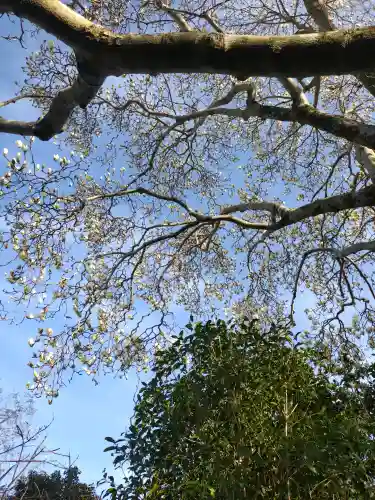 子安地蔵寺(和歌山県)