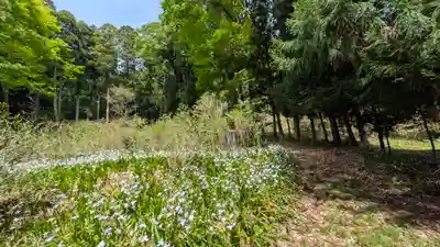 意太神社(滋賀県)