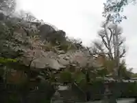 御霊神社の自然