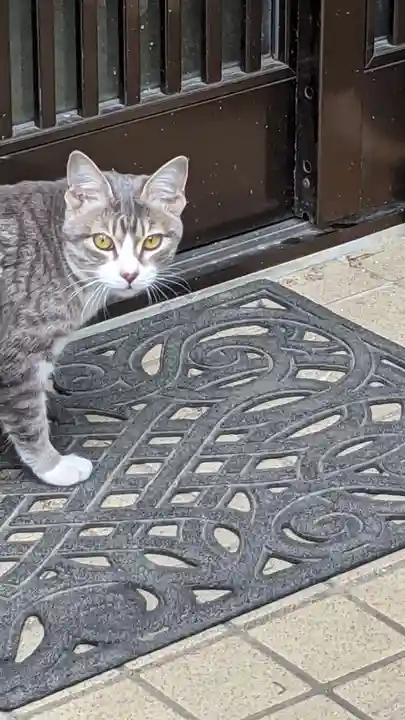 玉野御嶽神社の動物
