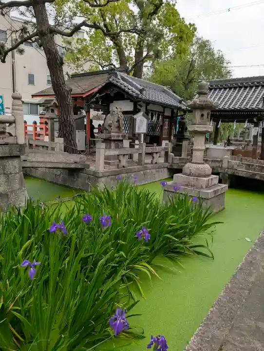 浅澤社(住吉大社境外末社)の{uncategorized: "未分類", other: "その他", undefined: "問題あり", building: "その他建物", grave: "お墓", sacred_gate: "鳥居", guardian: "狛犬", statue: "像", buddha: "仏像", history: "歴史", nature: "自然", garden: "庭園", animal: "動物", pagoda: "塔", temizu: "手水舎", mountain_gate: "山門・神門", sanctuary: "本殿・本堂", subordinate: "末社・摂社", art: "芸術", scenery: "景色", jizo: "地蔵", ema: "絵馬", goshuin: "御朱印", omikuji: "おみくじ", items: "授与品その他", amulet: "お守り", goshuincho: "御朱印帳", eats: "食事", festival: "お祭り", votive_dance: "神楽", shichigosan: "七五三参", wedding: "結婚式", experience: "体験その他", initially: "初詣", around: "周辺", anti_infection: "感染症対策"}