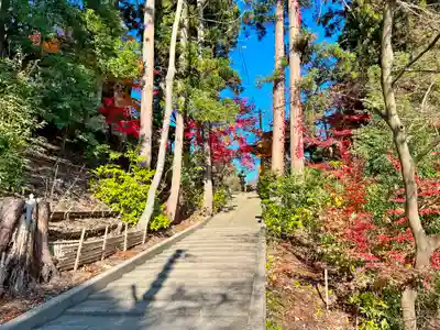 寒河江八幡宮(山形県)