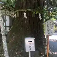 丹生川上神社(中社)(奈良県)
