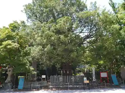 熊野速玉大社のその他建物