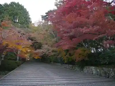 光明寺（粟生光明寺）のその他建物
