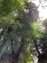 小倉神社の自然