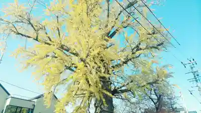 津島神社の周辺