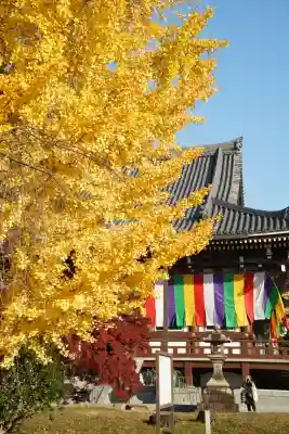  智積院(京都府)