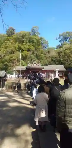 蒲生八幡神社の本殿