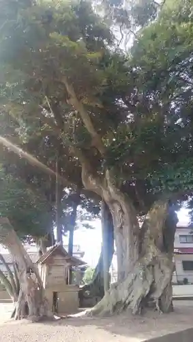 道路衢神のその他建物