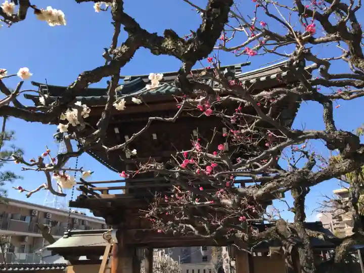 高松寺の自然