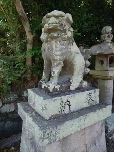 宇治神社の狛犬