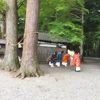 水屋神社のお祭り