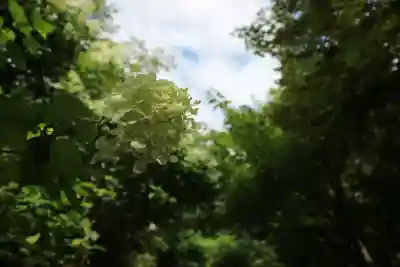 宝筐院(京都府)