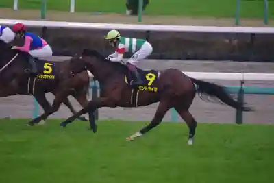 印内八坂神社(千葉県)