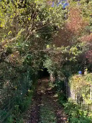 妙見神社の自然