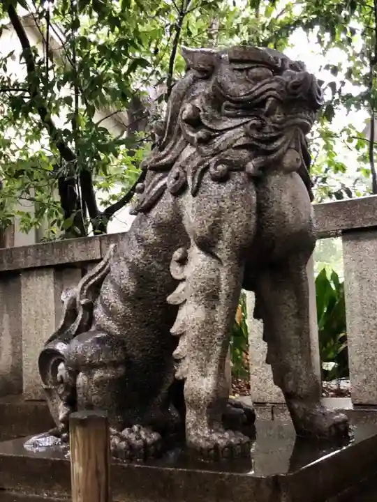 渋谷氷川神社の狛犬