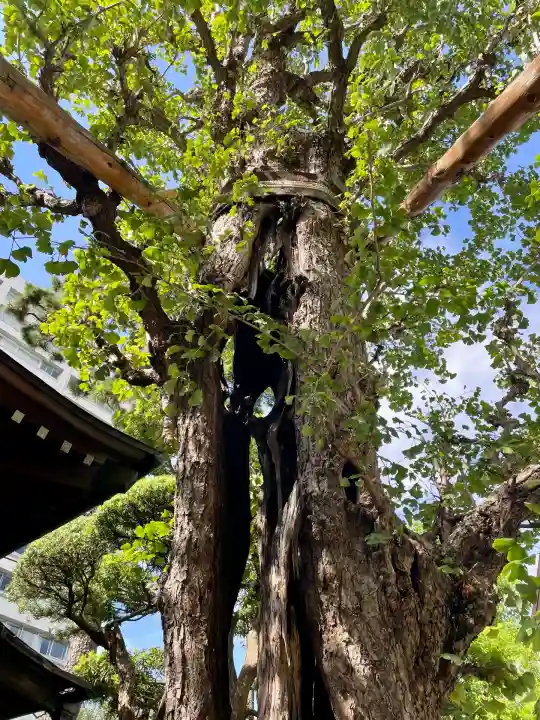 廣尾稲荷神社(東京都)