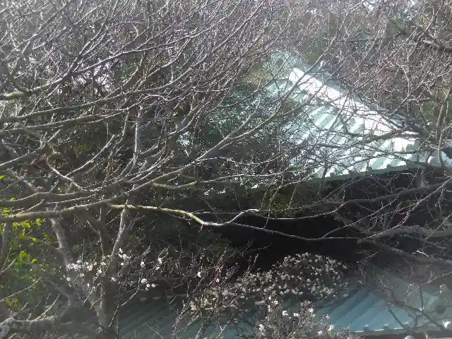 英勝寺のその他建物