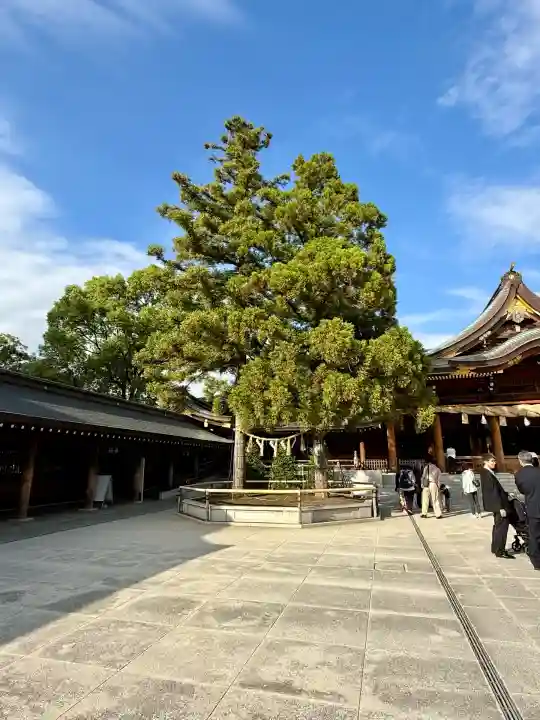寒川神社(神奈川県)