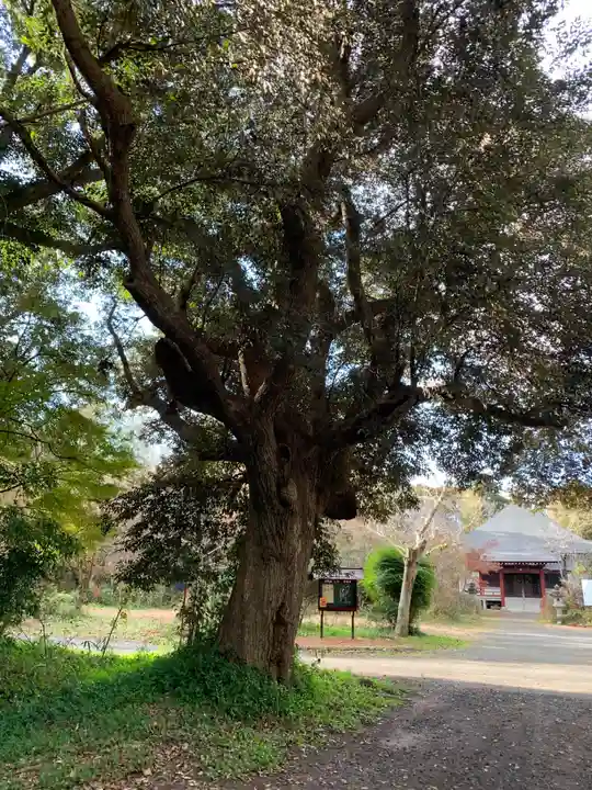 妙経寺(千葉県)