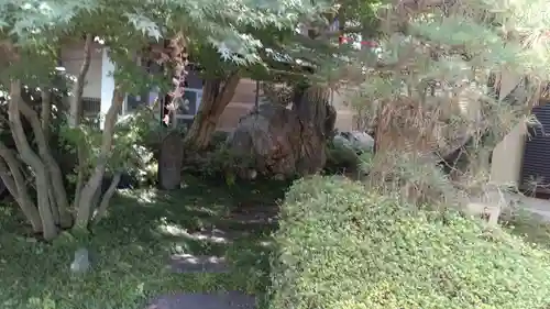 龍泉寺（足利厄除大師）(栃木県)