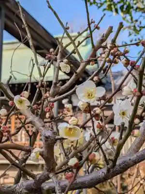 本郷氷川神社(東京都)