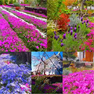 寿量山 速成寺(奈良県)