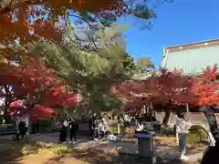 豪徳寺(東京都)