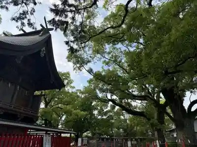 美奈宜神社(福岡県)