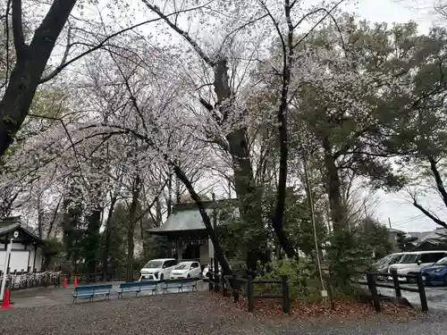 調神社(埼玉県)