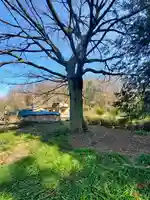 東神社(栃木県)