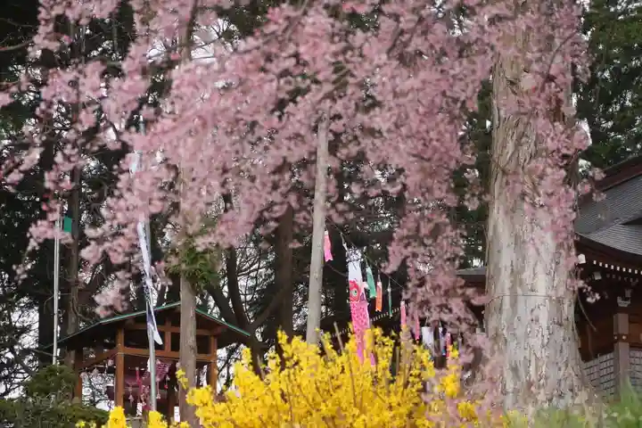 阿久津「田村神社」(郡山市阿久津町)旧社名:伊豆箱根三嶋三社の庭園