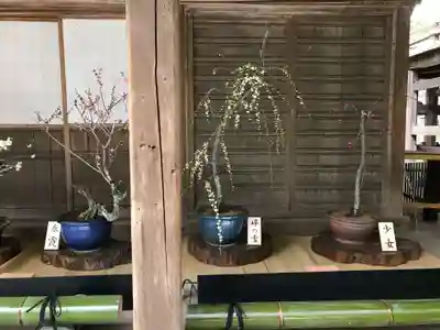 石山寺のその他建物