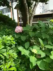 日枝神社(東京都)