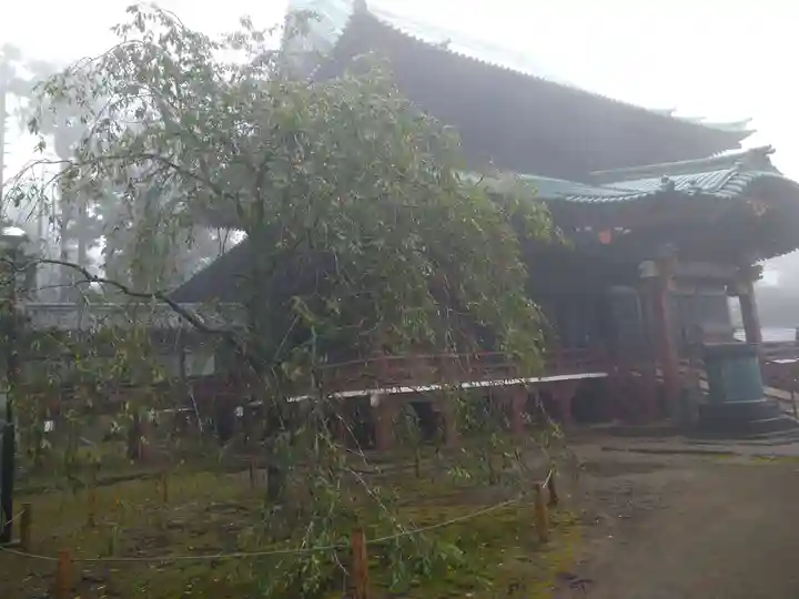 神野寺の本殿・本堂