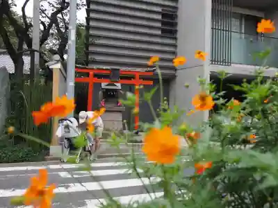 新井薬師（梅照院）の鳥居