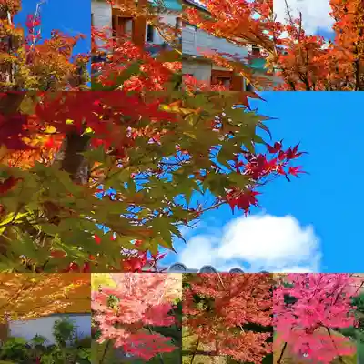 寿量山 速成寺の周辺