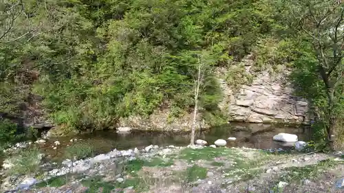 阿智神社前宮の自然